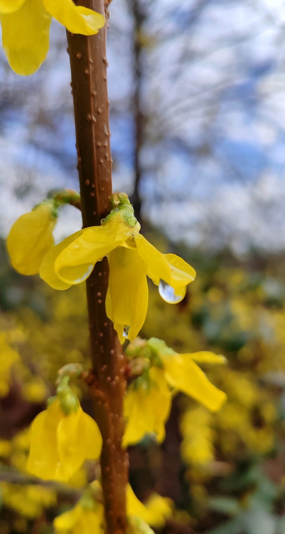 Diventa Socia - Accoglienza e collaborazione